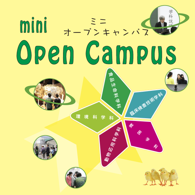 6月3日(日) ミニ・オープンキャンパスのプログラムを公開しました！