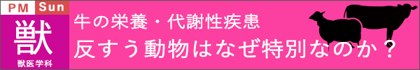 麻布大学オープンキャンパス