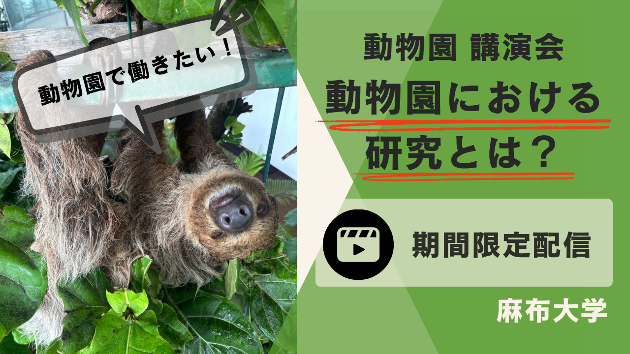 総合型・学校推薦型選抜 入試徹底解説講座