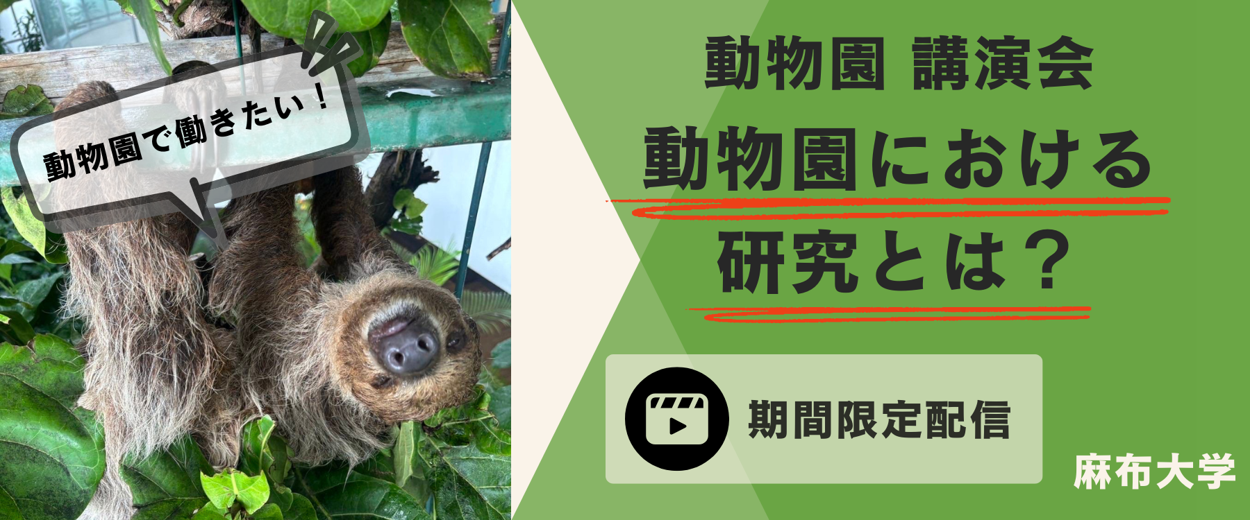 【期間限定】動物応用科学科「動物園における研究とは？」講演会オンデマンド配信視聴受付中