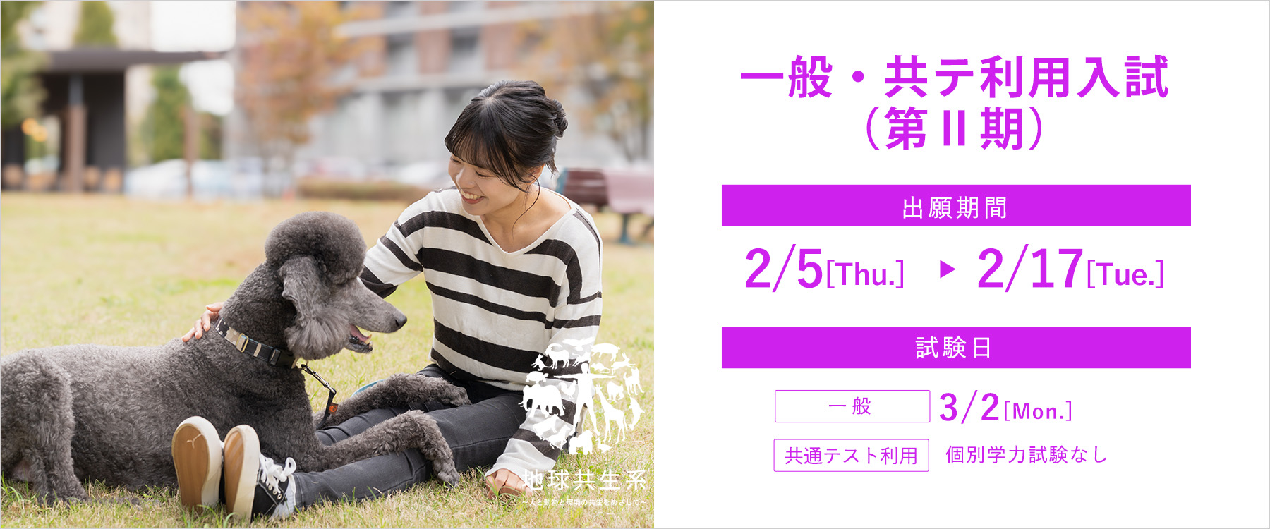 2026年度一般入学試験（第Ⅱ期）及び大学入学共通テスト利用入学試験（第Ⅱ期）